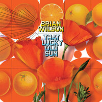 Good Kind Of Love - Brian Wilson