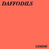 Bright - Daffodils