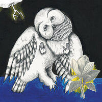 Just Be Simple - Songs: Ohia