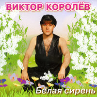 Молдованка - Виктор Королёв