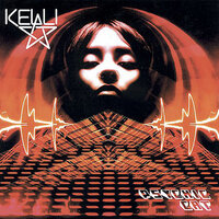 In Praise of Shadows - Kelli Ali