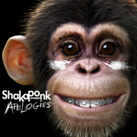 Funky Junky Monkey - Shaka Ponk