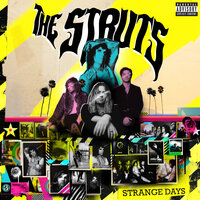 Wild Child - The Struts, Tom Morello
