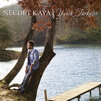 Nem Kaldı - Necdet Kaya
