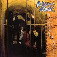 Laylah - Mortuary Drape