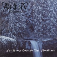 Forest of Summoned Spirits - Ancient Wisdom