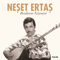 Ahirim Sensin - Neşet Ertaş