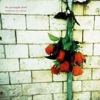 This Will Remain Unspoken - The Pineapple Thief