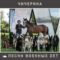 Добровольческая - Чичерина