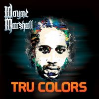 Go Harder - Wayne Marshall