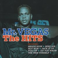 Taxi Fare (feat. Mr. Lexxus) - Mr. Vegas, Mr Lexxus