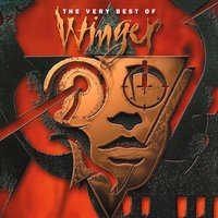 Down Incognito - Winger