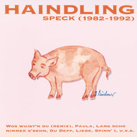 Ganz weit weg - Haindling