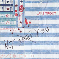 King - Lake Trout