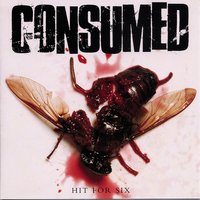 Nicky Fry - Consumed