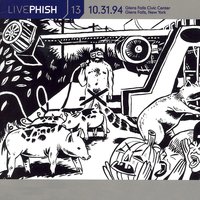 Blackbird - Phish