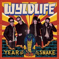 Wyldlife