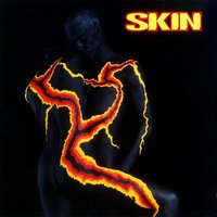 Monkey - Skin