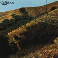 Too Many People - Cold Blood