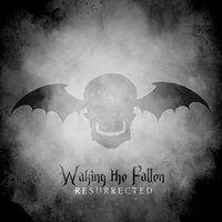 Desecrate Through Reverence - Avenged Sevenfold