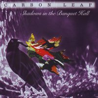 Dusk - Carbon Leaf