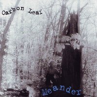 Directional - Carbon Leaf