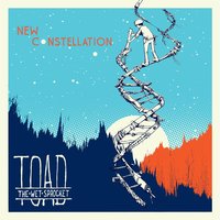 Finally Fading - Toad The Wet Sprocket