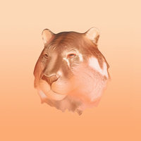 Copper Kiss - Salen, HAAi