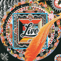 The Dolphin's Cry - Live