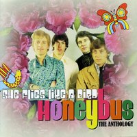 Scarlet Lady - Honeybus