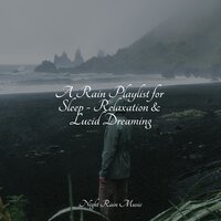 Sleeping Baby Songs
