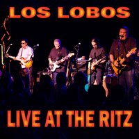 Will the Wolf Survive - Los Lobos