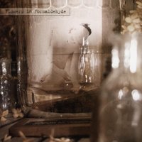 In An Hour Darkly - Sopor Aeternus & The Ensemble Of Shadows