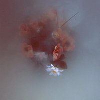 Athena - Yuck