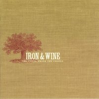 Weary Memory - Iron, Wine
