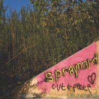 That's a Cake! - Spraynard