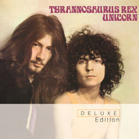 The Misty Coast Of Albany - Marc Bolan, T. Rex