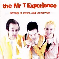 Here She Comes - The Mr. T Experience