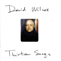 Crazy Blue - David Wilcox