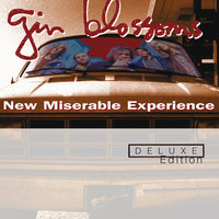 Christine Irene - Gin Blossoms