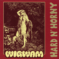 Luulosairas - Wigwam
