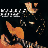 Worry B Gone - Willie Nelson, Kenny Chesney
