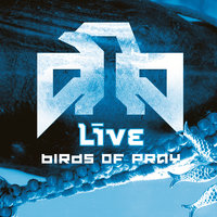 She - Live