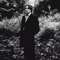 Faisons Envie - Alain Bashung