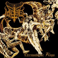 Opus VI - MORD