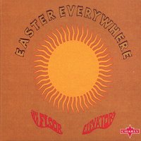 Nobody to Love - The 13th Floor Elevators