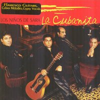 Vagabundo - Los Ninos De Sara