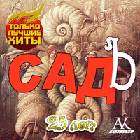Мальчик - СадЪ