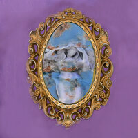 GLASS WALLS - dounia