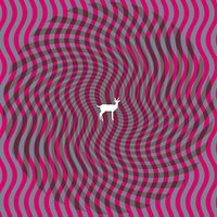 Cryptograms - Deerhunter